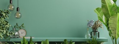 رزومه عباس باقری